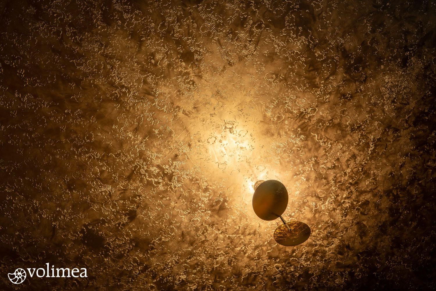Volimea_GRANDEZZA_Anthrazit_Antikgold_floral_Lampe-1